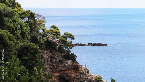 Dubrovnik landscape, Croatian nature. Green rocks and blue sea. Stones at the bottom of the sea. Sunny day. Rocky coast, plants and flowers.