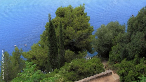 Dubrovnik landscape, Croatian nature. Green rocks and blue sea. Stones at the bottom of the sea. Sunny day. Rocky coast, plants and flowers.