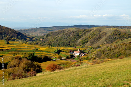 Goldener Herbst im Kaiserstuhl photo