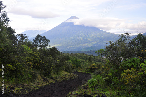 Hiking path through green trees on active volcano Pacaya close to Antigua in Guatemala, Central America.