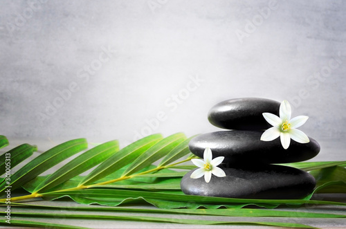 Spa stones with palm branch and white flower on light background.