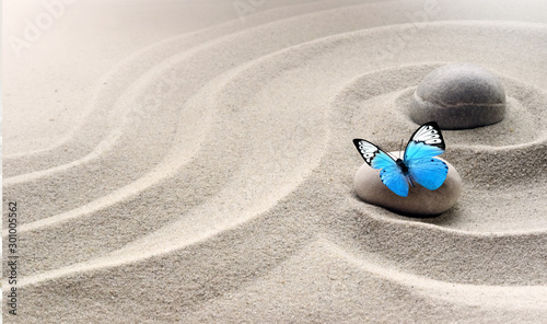 Canvas Print zen garden meditation stone background and butterfly with stones and lines in sa