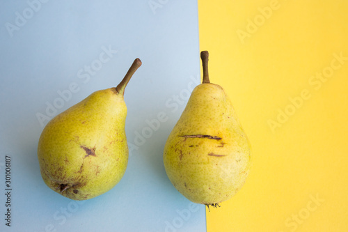 Tableau sur toile Two ugly pears on a blue and yellow background, the conceptual idea is not ideal