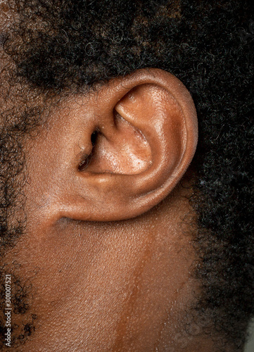 human ear detail macro shot