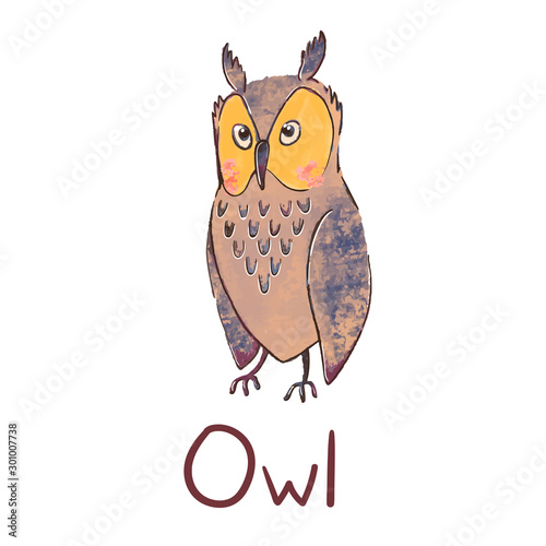 Vector colorful illustration of cute owl isolated on white background. Can be used as elemets for your design for greeting cards, nursery, poster, card, birthday party, packaging paper design, baby t