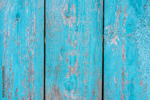 old wooden fence blue paint peeling board texture. Background © Kate