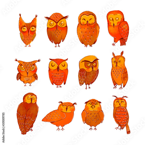 Vector colorful set with illustrations of cute owls isolated on white background. Can be used as elemets for your design for greeting cards, nursery, poster, card, birthday party, packaging paper