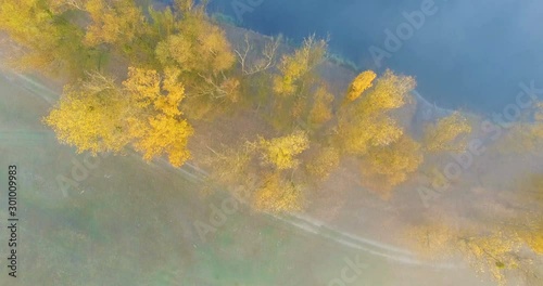 Aerial view of river under morning fog and golden trees, Ukraine photo