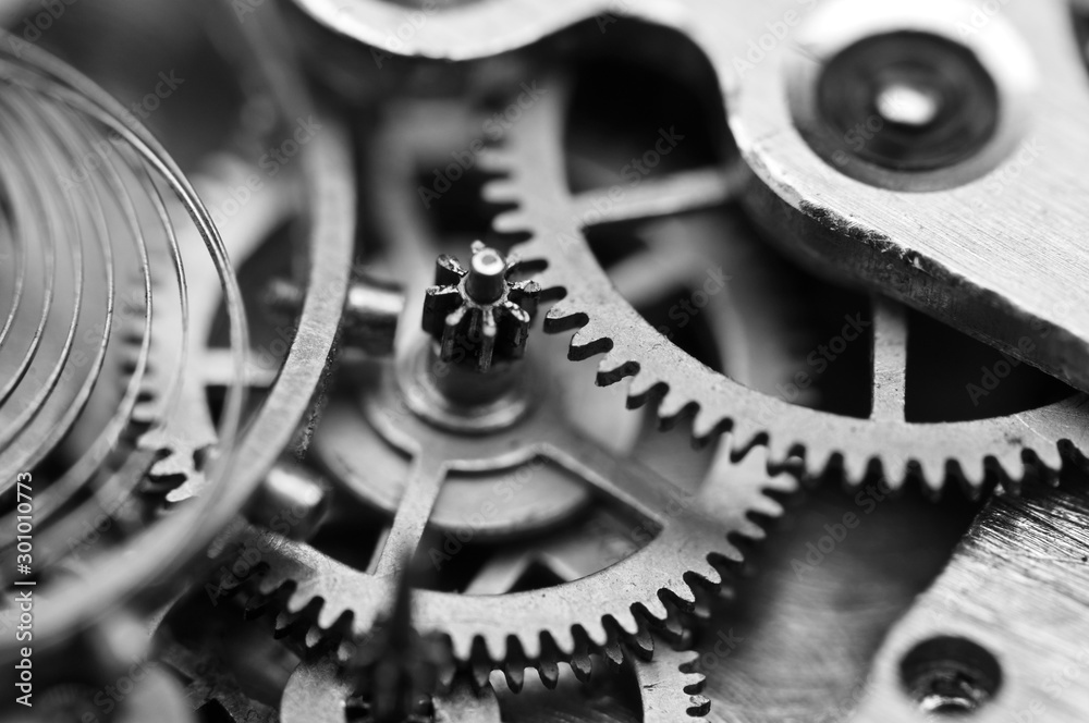 Clockwork Gears Black And White