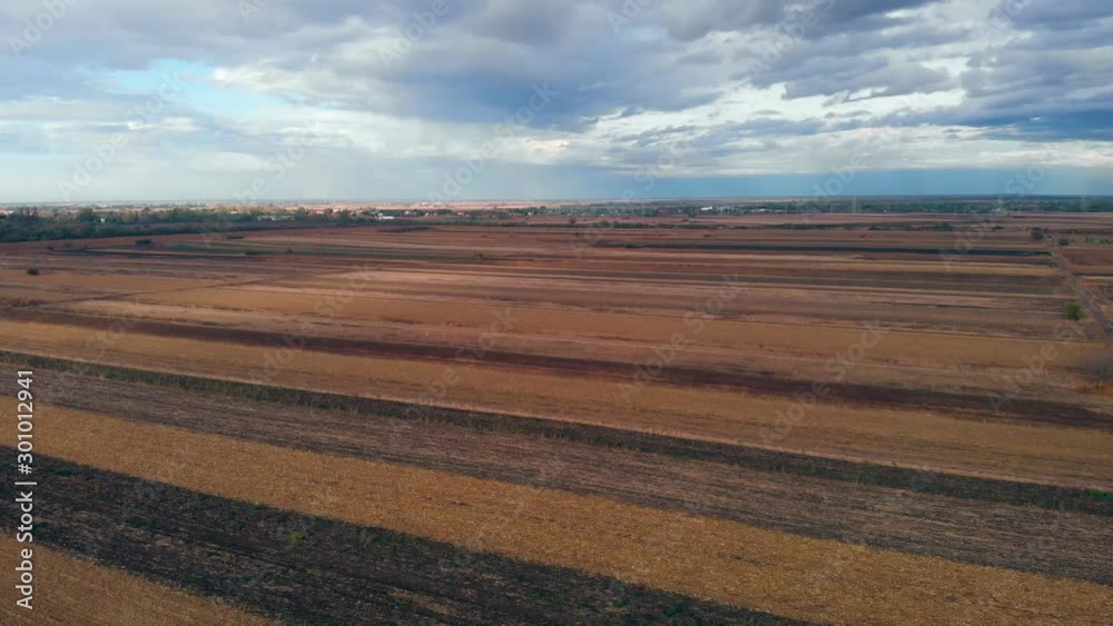 Revealing shot of sky and fields full of crops. Sunny day on the agriculture crop fields. Revealing shot of sky and fields full of crops. Sunny day on the agriculture crop fields.