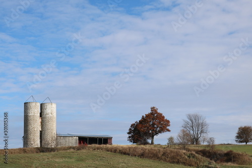 autumn on the farm