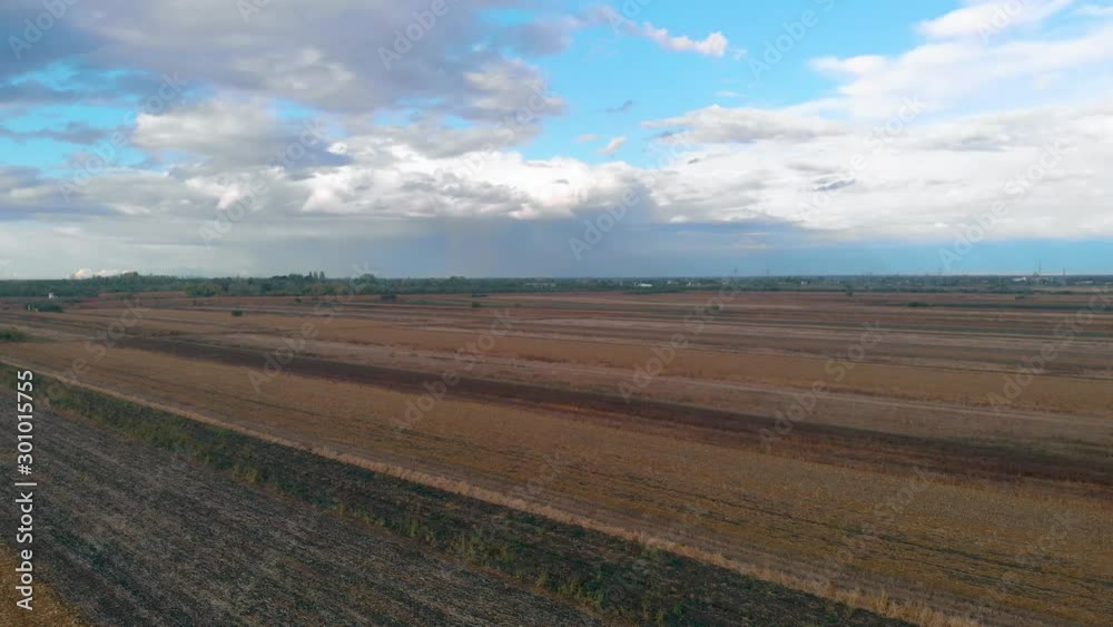 Revealing shot of sky and fields full of crops. Sunny day on the agriculture crop fields. Revealing shot of sky and fields full of crops. Sunny day on the agriculture crop fields.
