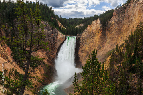 Lower Falls of the Yellowstone from Lookout Point  Yellowstone National Park