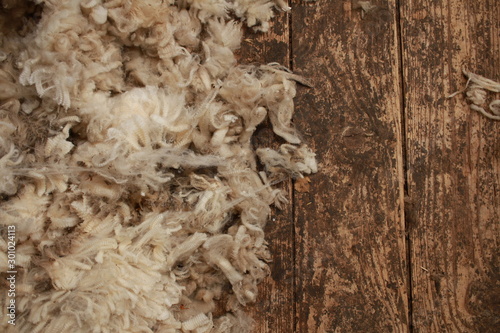 piles of freshly shorn wool scattered on the timber floor of the family farm woolshed shearing shed, rural Victoria, Australia