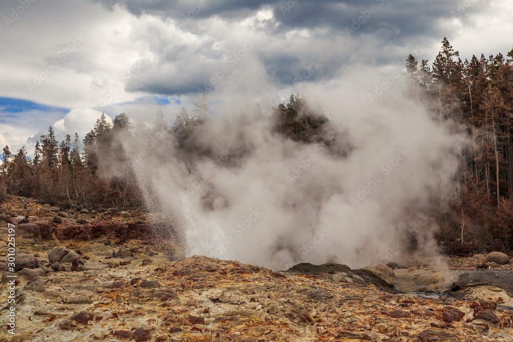 Steamboat Geyser Venting in the Yellowstone National Park