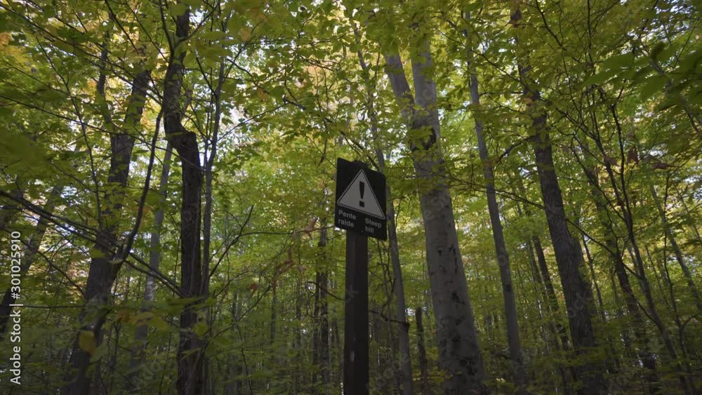 Forest near Lac Meech Lake, Trans Canada Trail, Gatineau Park, Chelsea ...