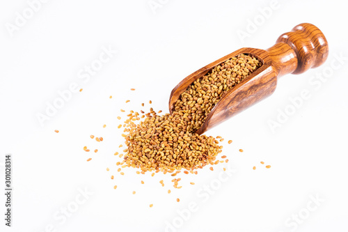 Medicago sativa - Organic Alfalfa Seeds