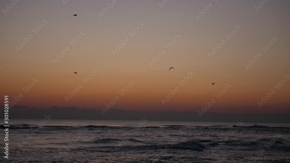birds in the sky sunrise birds in the sky sunrise