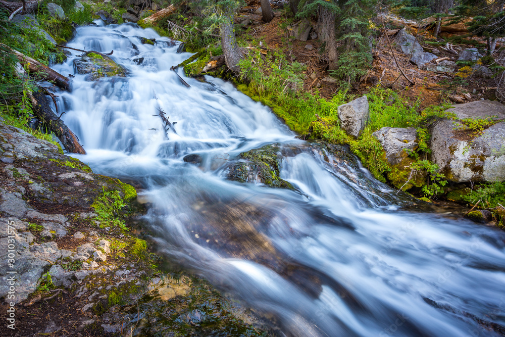Obraz premium A creek in Lassen Volcanic National Park