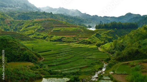 Rice fields of Asia, Vietnam, Mountains, Landscape, paddy fields, agriculture © Robert