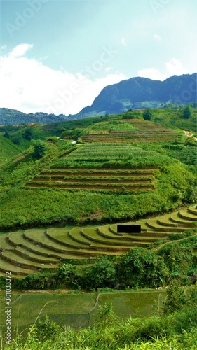 Rice fields of Asia, Vietnam, Mountains, Landscape, paddy fields, agriculture © Robert