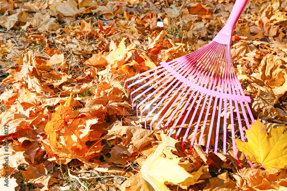 Obraz premium Cleaning of autumn leaves in park