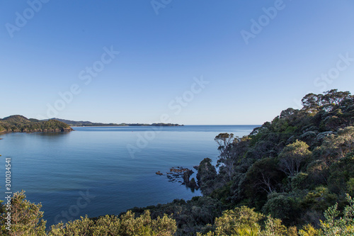 Midday view from bach looking down into Sandy Bay towards the north with Whananaki headland in the distance. Calm day on usually big surf beach. NZ native bush in deep shade, cabbage tree, pohutukawa.