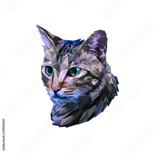 Polygonal Lowpoly Art Of a Head of Cat