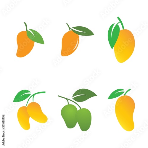Mango vector logo.