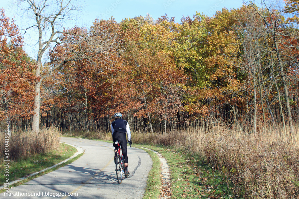 at Miami Woods in Morton Grove, Illinois at Miami Woods in Morton Grove, Illinois