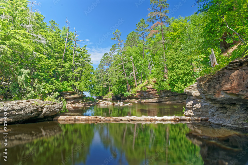 river in the forest