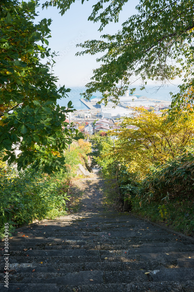 Fototapeta premium 小樽 水天宮からの景色