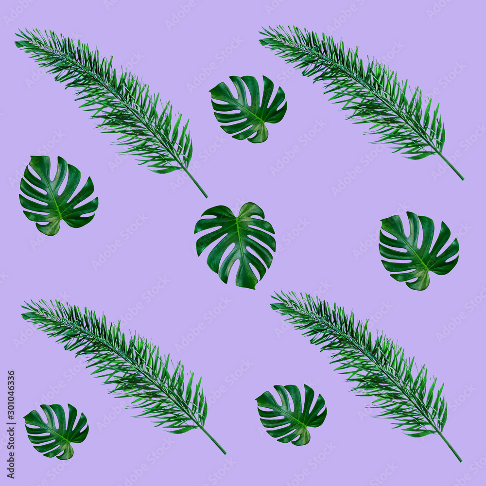 Green palm leaves pattern for nature concept,tropical leaf on purple background