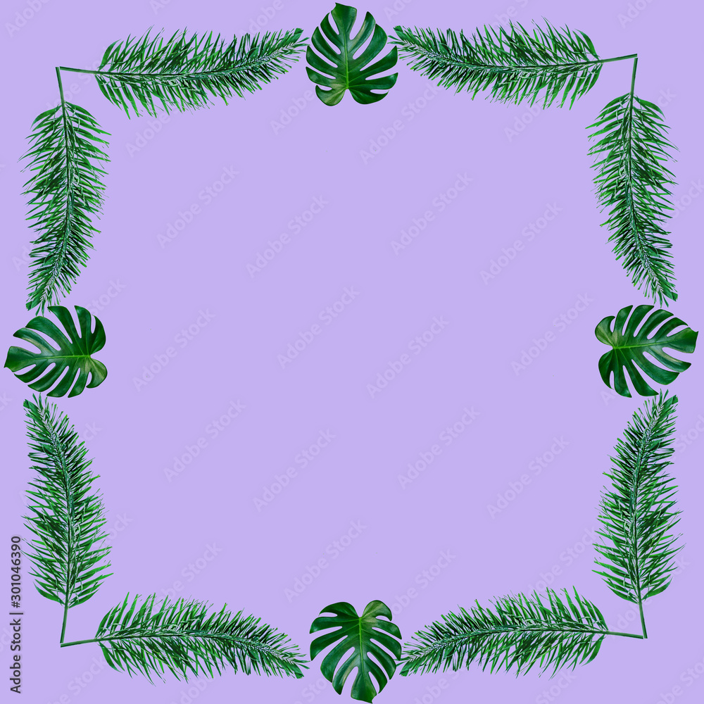 Green palm leaves pattern for nature concept,tropical leaf on purple background