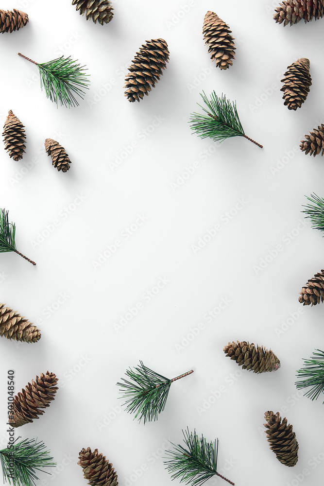 Pine cone and evergreen branch Pine cone and evergreen branch