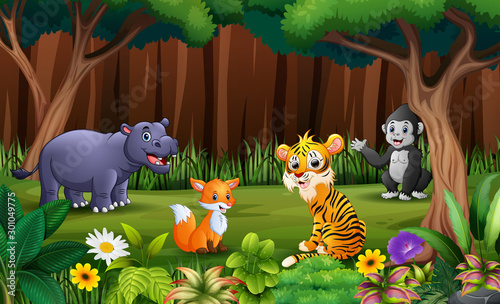 Wild animlas playing in the park