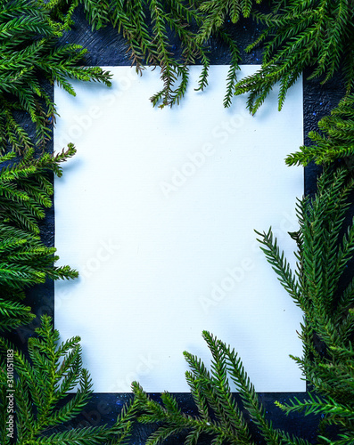 Fotografía Empty Blank Card Surrounded by Christmas Tree Branches