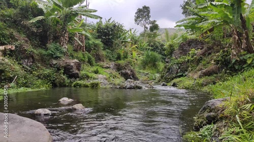 clear water flowing in a river with green grass at its edge