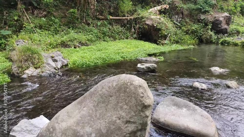 clear water flowing in a river with green grass at its edge