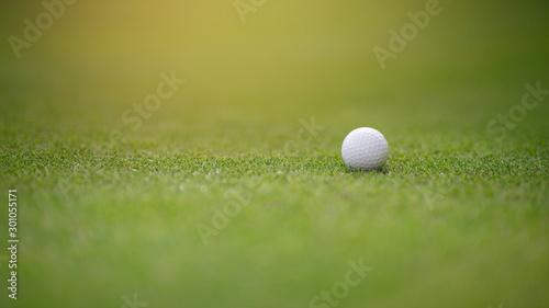 The white golf ball on the green greens closely. Golf background image with text space.