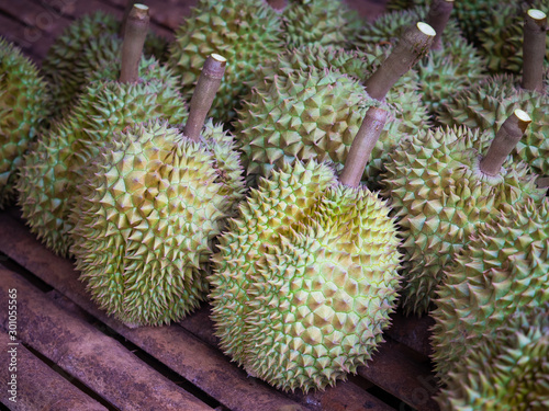 Durian fruit, volcano, Thailand, Sisaket province Is a non-toxic fruit photo