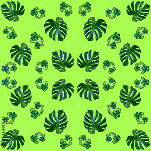 seamless of tropical exotic plant leaf green leaves pattern are made new color for nature concept abstract background for textile and fabric design