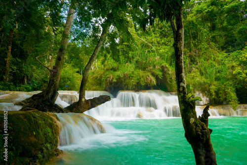 Tat Kuang Si Falls near to popular travel destination Luang Prabang in Laos. Three level waterfall with turquoise blue pools surrounded with lush green tropical jungle.