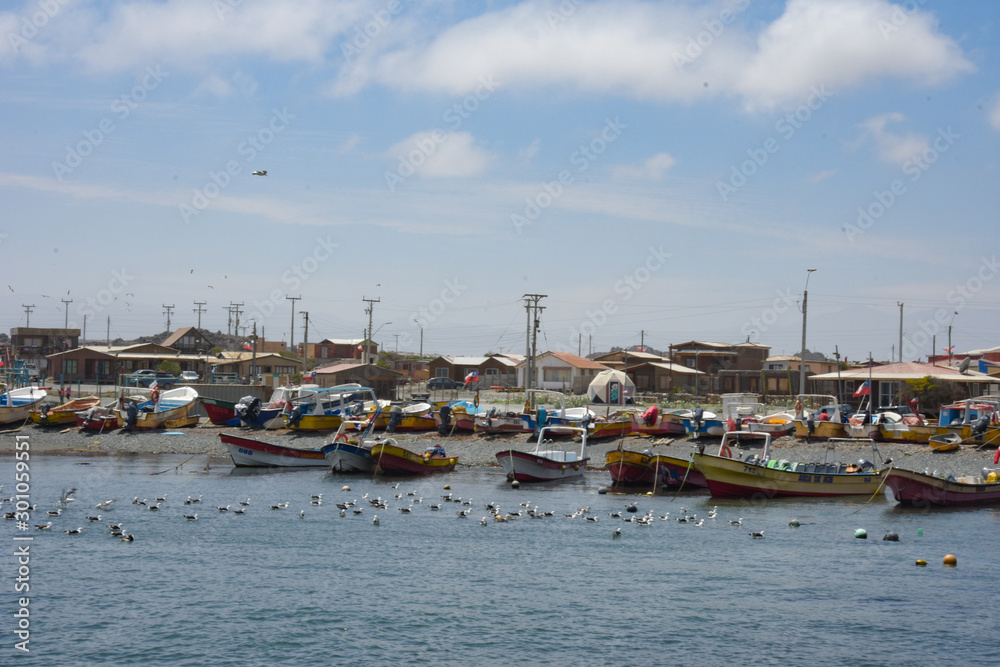 Fishing boats in Caleta de Chañaral. Punta de Choros, Coquimbo region, Chile