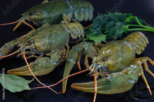 Green crayfish. Preparation for cooking.