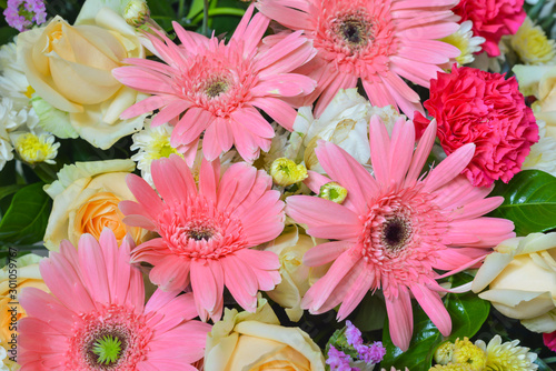 Bouquet of pink gerbera daisies . Pink blooming gerbera with roses flowers. flower bouquets   bunch of flowers