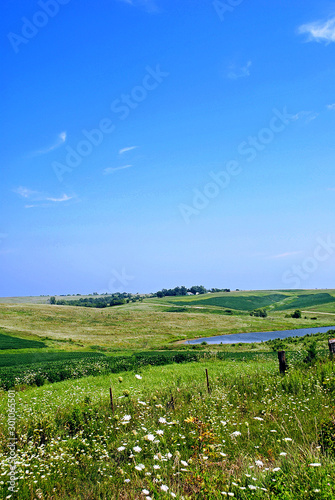 Typical Iowa countryside in late summer, with wildflowers at the edge of the road and gently rolling hills covered in fields and pastures under the wide blue sky.