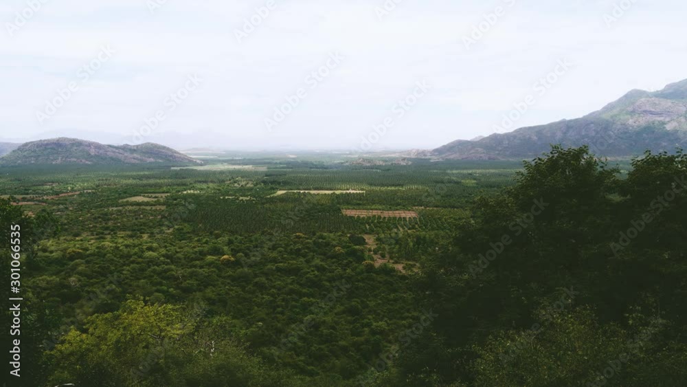 Top angle view of a green landscape full of trees and plants, India Top angle view of a green landscape full of trees and plants, India