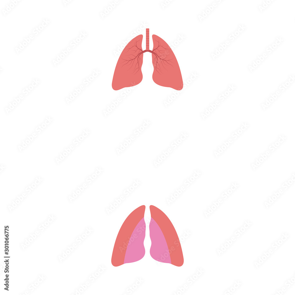 Lung Logo Template vector symbol Lung Logo Template vector symbol