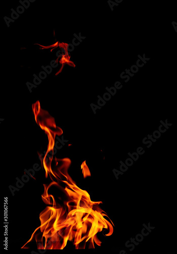 Fire flame isolated on black background. Beautiful yellow, orange and red spurts of flame.